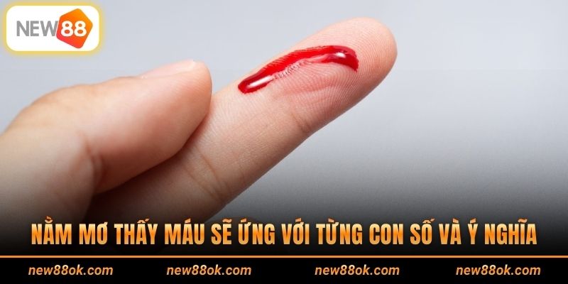 Nằm mơ thấy máu sẽ ứng với từng con số và ý nghĩa