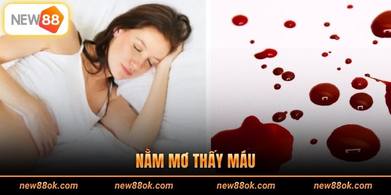 Nằm Mơ Thấy Máu - Giải Mã Tâm Linh Chuẩn Từ Chuyên Gia